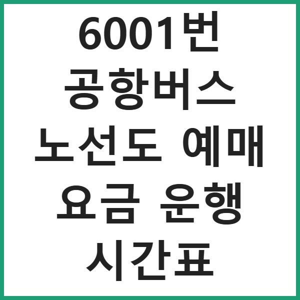 6001번 공항버스 노선도 예매 요금 운행 시간표 썸네일