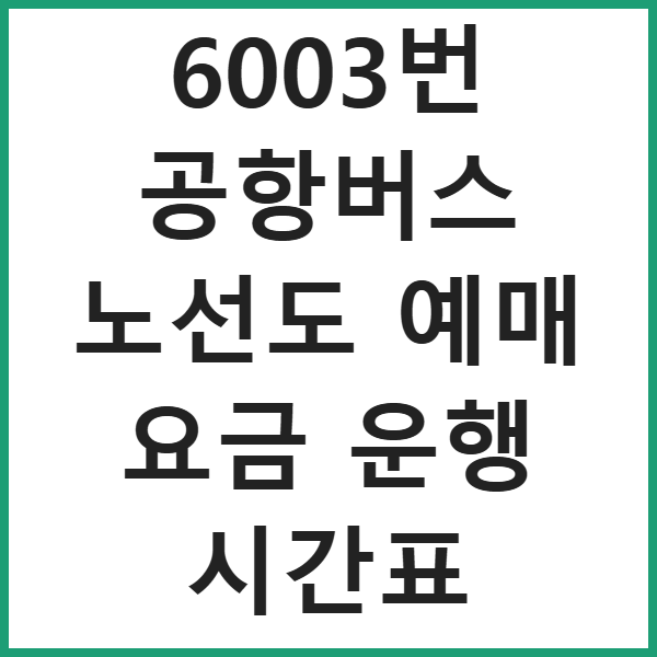 6003번 공항버스 노선도 예매 요금 운행 시간표 썸네일